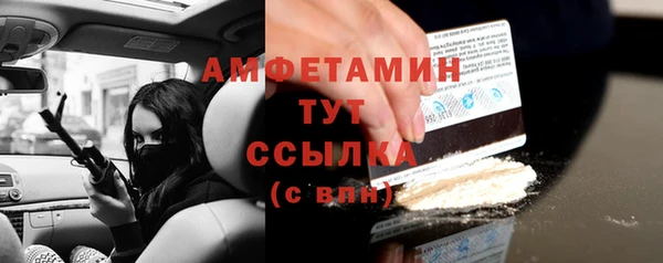 гидра Белокуриха