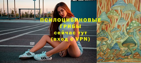 соль ск Балахна