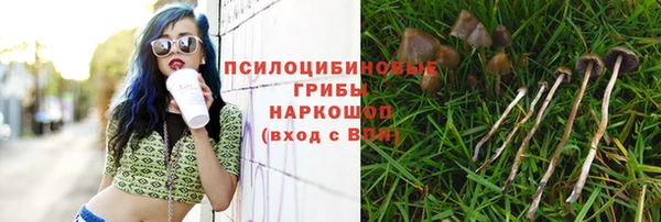 соль ск Балахна